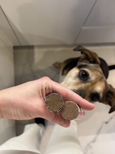 Jakie smaczki dla psa i kota?